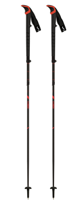 Палки треккинговые COBER Buxus