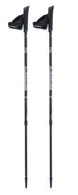 Палки для скандинавской ходьбы VIKING Valo Pro Nordic Walking Black/Silver