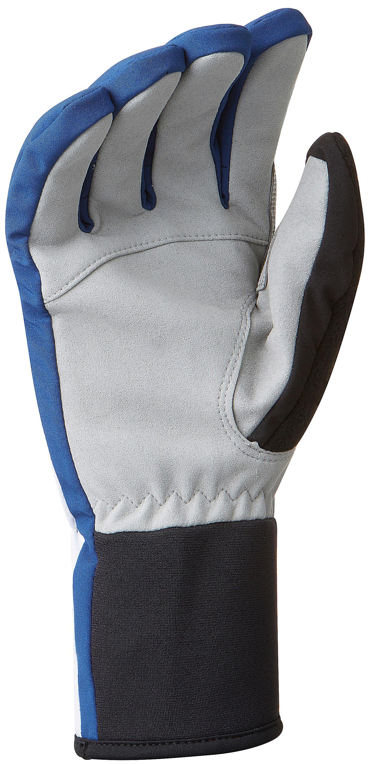 Перчатки беговые Bjorn Daehlie 2019-20 Glove Track Estate Blue