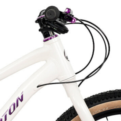 Велосипед XPHOTON Chaos Rigid 2025