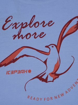 Футболка Icepeak Kearny Light Blue