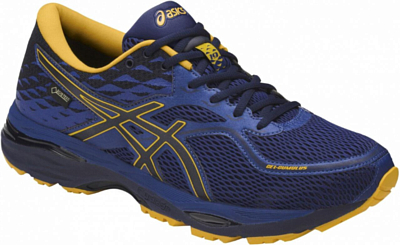 фото Беговые кроссовки элит Asics