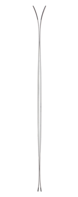 Горные лыжи ELAN Ripstick 94 W
