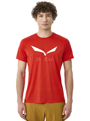 Футболка Salewa Solid Logo Dry Flame