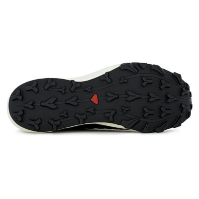Кроссовки SALOMON Thundercross GTX Turbul/Black/Cher