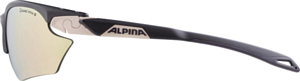 Очки солнцезащитные Alpina 2021-22 Twist Five HR S CM+ Nightshade Matt/Sepia/Rose/Gold Mirror