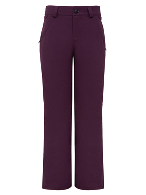 Брюки сноубордические Volcom Frochickidee Ins BLACKBERRY