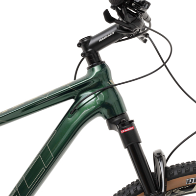 Велосипед Welt Rubicon 3.0 29 Dark Green