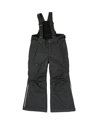 Брюки горнолыжные Reima Terrie Black