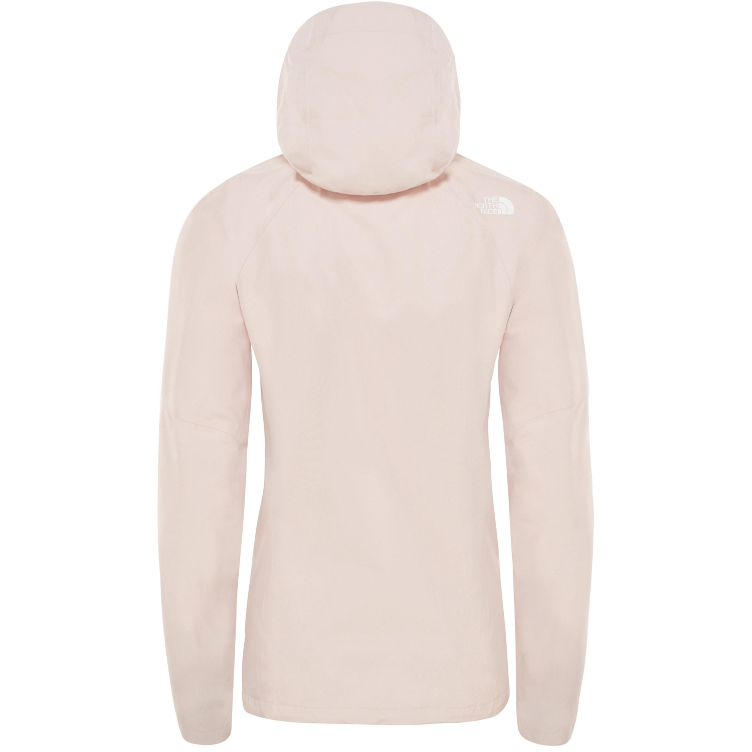 Куртка The North Face 2019 Dryzzle Pink Salt
