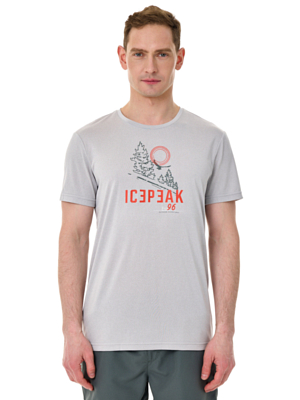 Футболка Icepeak Bearden Steam