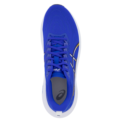 Кроссовки Asics GT-2000 13 Blue