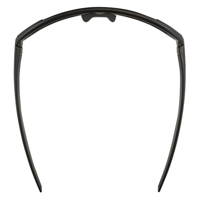 Очки солнцезащитные ALPINA Bonfire All Black Matt/Black Cat. 3, Fogstop