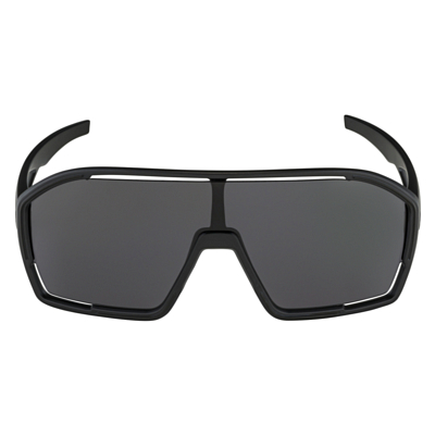Очки солнцезащитные ALPINA Bonfire All Black Matt/Black Cat. 3, Fogstop