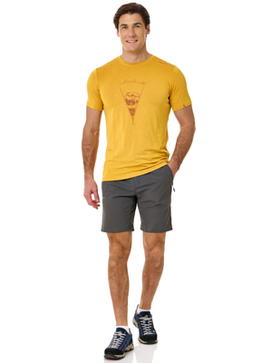 Шорты VIKING Expander Grey