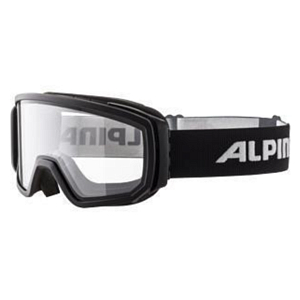 Очки солнцезащитные ALPINA Scarabeo Black/Dclear