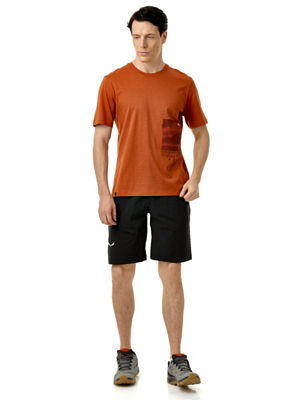 Футболка Salewa Eagle Cover Bombay Brown