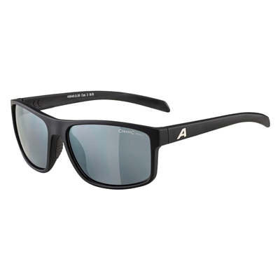 Очки солнцезащитные ALPINA Nacan I Black Matt/Black Mirror Cat.3