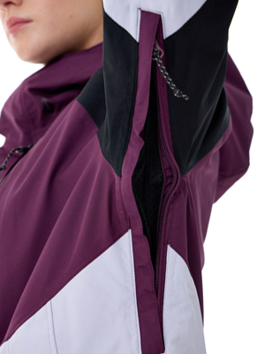 Куртка сноубордическая Volcom V.Co Aris Ins Gore BLACKBERRY