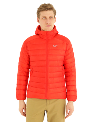 Куртка Arcteryx 2022-23 Cerium LT Hoody Dynasty
