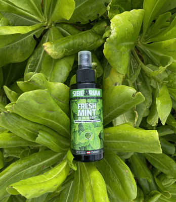 Дезодорант для обуви Sibearian Fresh Mint 150мл