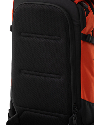Рюкзак Dakine Heli Pro 24L Pureed Pumpkin