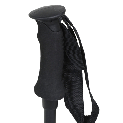 Палки треккинговые Salewa Puez Aluminum Pro Black
