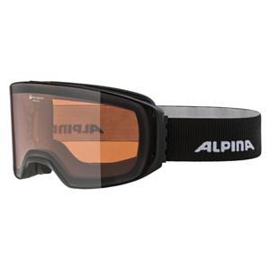 Очки горнолыжные ALPINA Arris Q Black Matt/Q S2